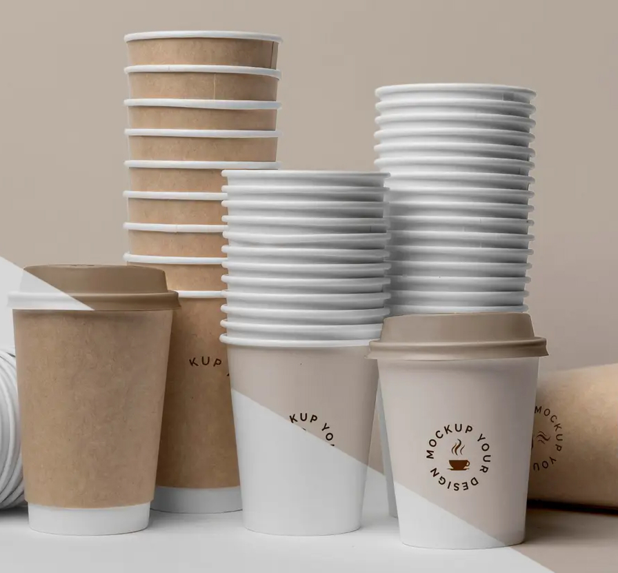 Our manufacturing facility